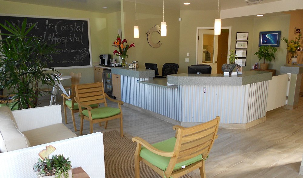 Coastal Hospital Virtual Tour Coastal Hospital Virtual Tour