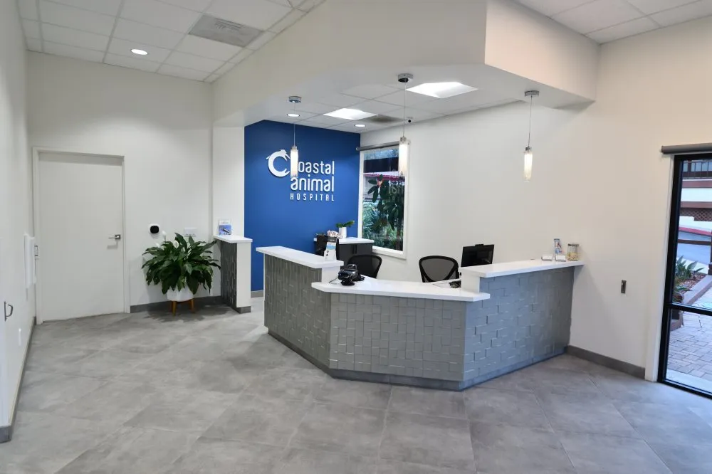 Coastal Carlsbad Vet Lobby
