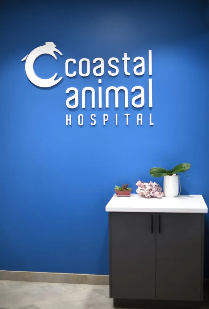 Coastal Animal Hospital Vet logo wall