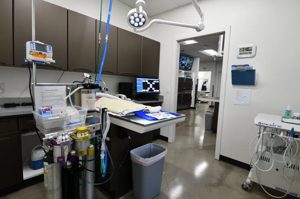 Coastal Animal Hospital Carlsbad Vet Special Procedures Room