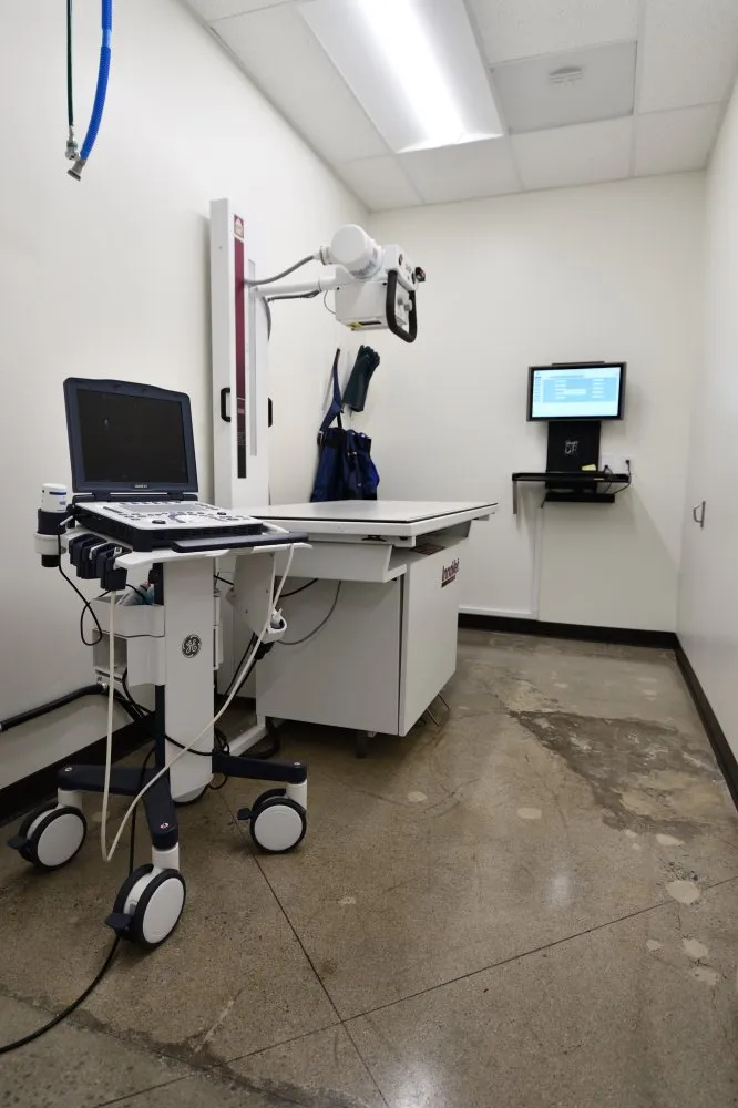 Coastal Animal Hospital Carlsbad Vet Xray and Ultrasound