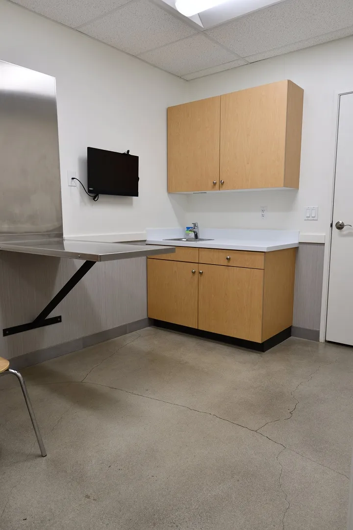 Coastal Animal Hospital Vet Encinitas exam room
