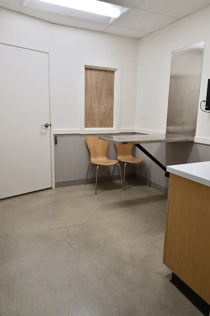 Coastal Animal Hospital Vet Encinitas exam room 2