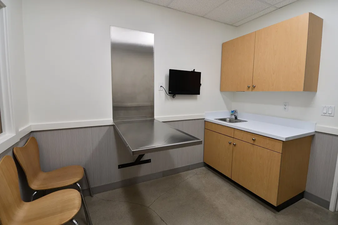 oastal Animal Hospital Vet Encinitas exam room