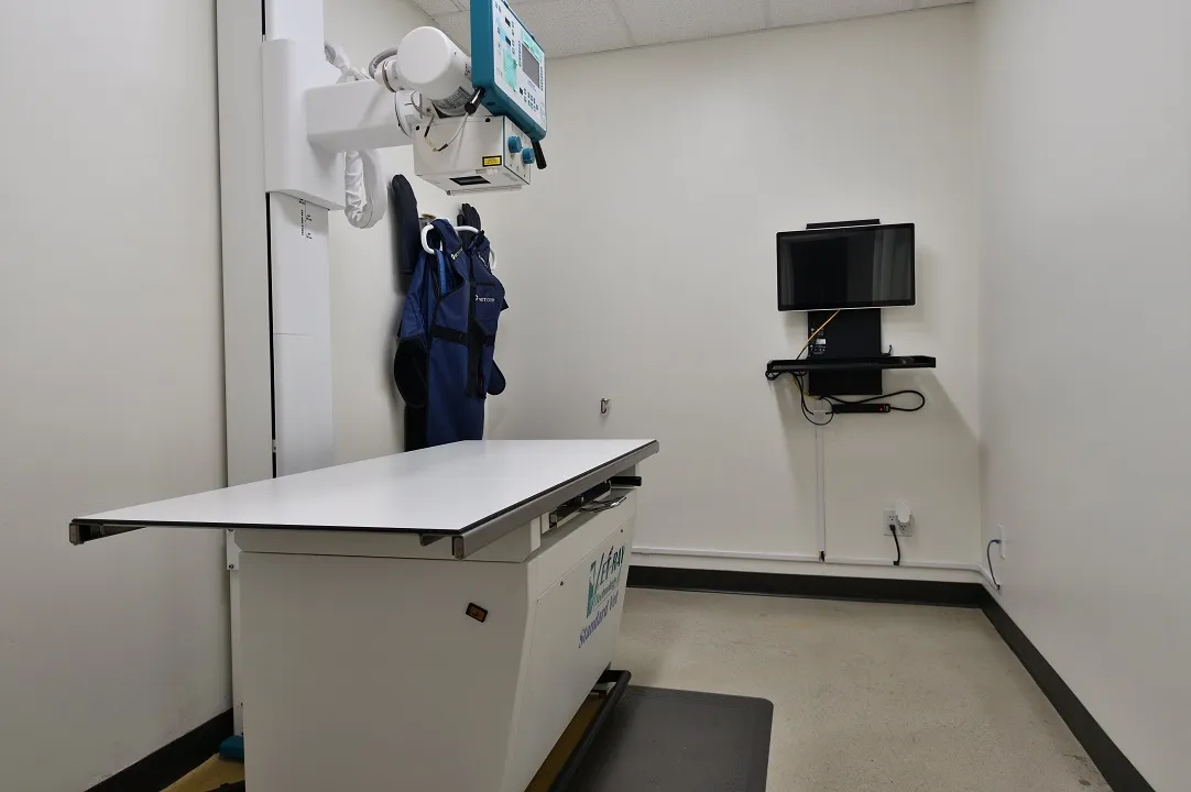 Coastal Animal Hospital Vet Encinitas xray