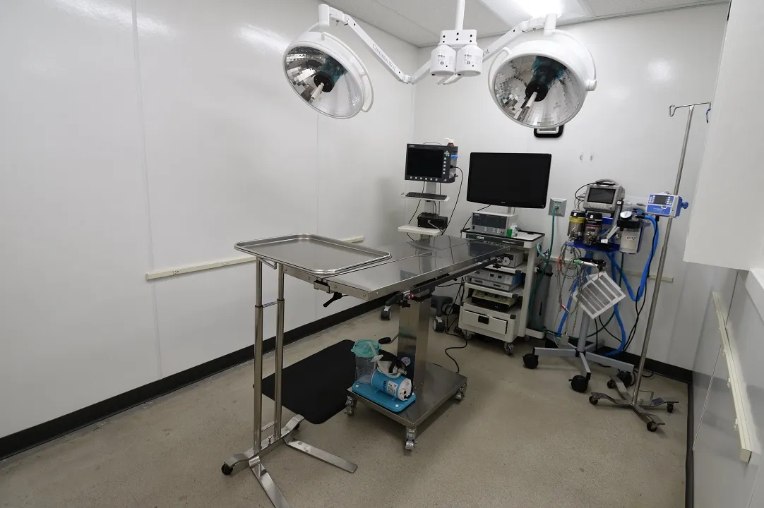 Coastal Animal Hospital Vet Encinitas surgery