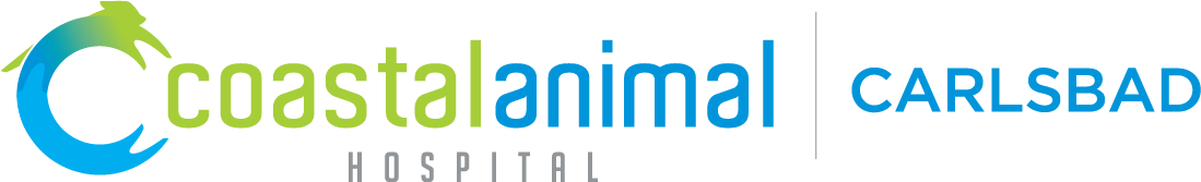 Coastal Animal Hospital Home