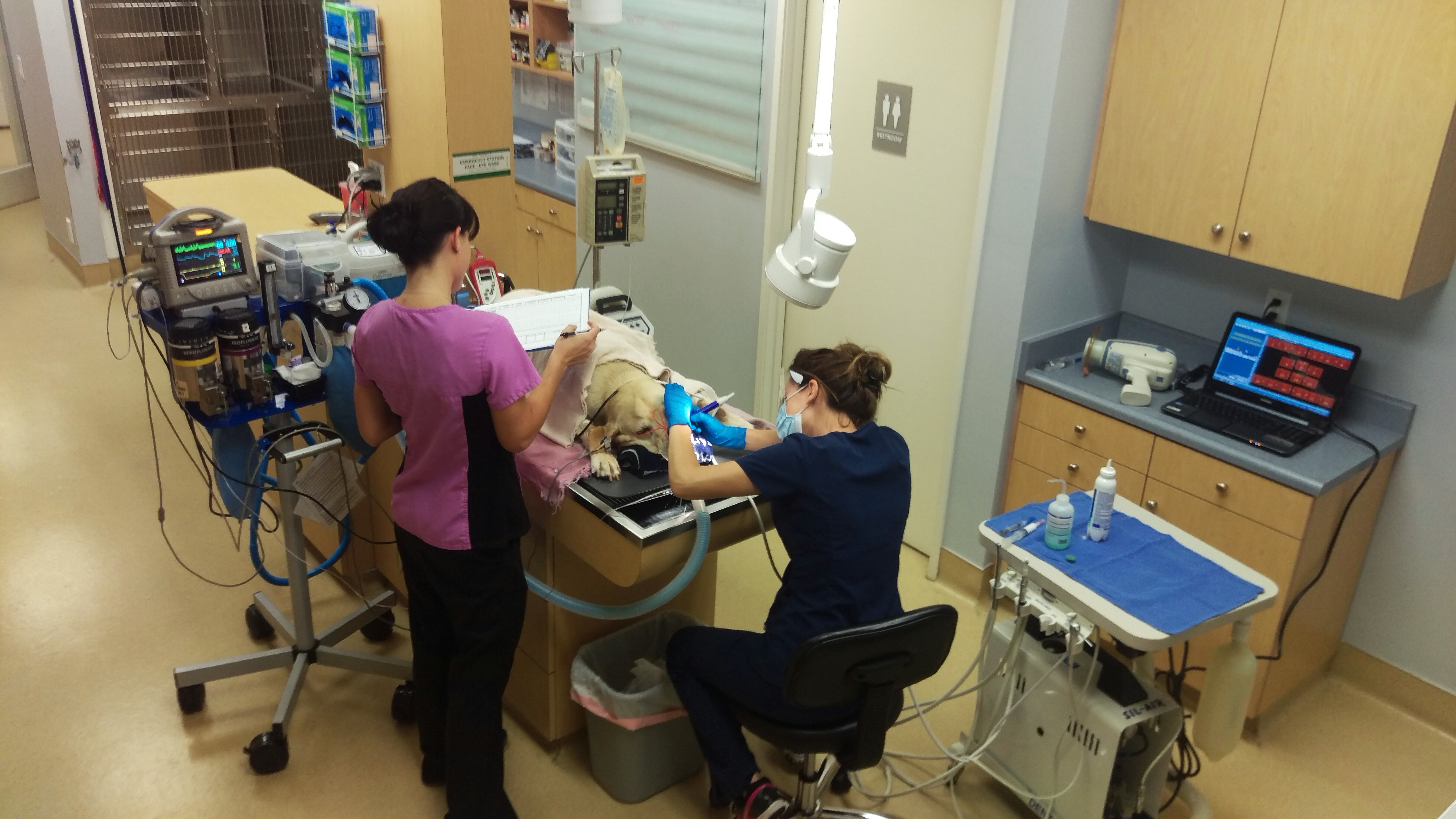Zoomed out view of dental procedure